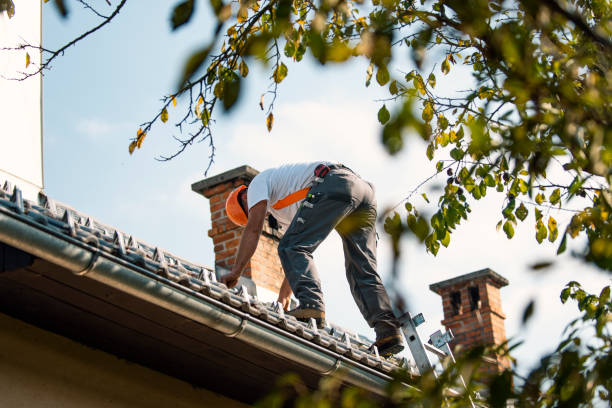 Best Metal Roofing Contractor  in Peru, IN